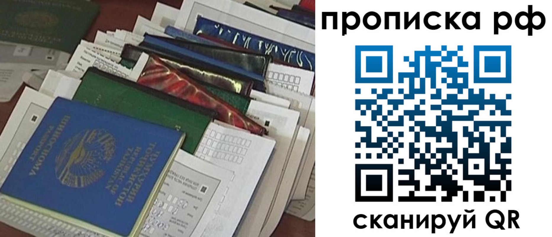 прописка в Ростовской области